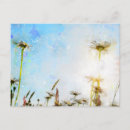 Search for acryl postcards Flower