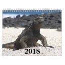 Search for galapagos calendars Iguana
