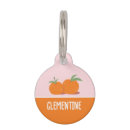 Search for clementine gifts Fruit