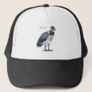 Search for vultures hats Bird