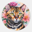 Search for bengal cat stickers Feline