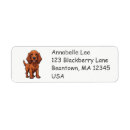 Search for irish setter return address labels Puppy