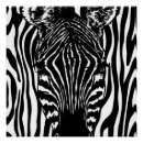 Search for zebra head posters Wildlife