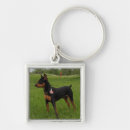Search for min key rings Dog