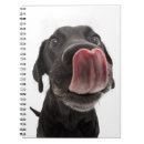 Search for labrador notebooks Dog