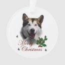 Search for alaskan malamute christmas tree decorations Pets