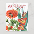 Search for gladiolus postcards August