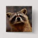 Search for curious badges Adorable
