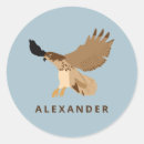Search for red tails stickers Red tailed hawk