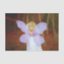 Search for fairy wings tissue paper Girl