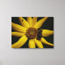 Search for bumble bee canvas prints Summer