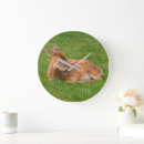 Search for fawn clocks Deer