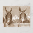 Search for event postcards Farm