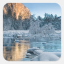 Search for winter park stickers California