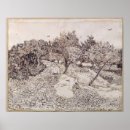 Search for van gogh olive trees posters Post impressionist