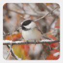 Search for snow capped stickers Bird