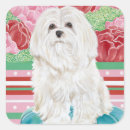 Search for dog rose stickers Pet