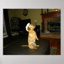 Search for dog christmas art Hound