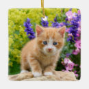Search for ginger cat christmas tree decorations Cute