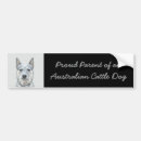 Search for blue heeler bumper stickers Acd