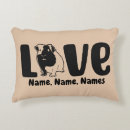 Search for pig cushions Guinea pigs