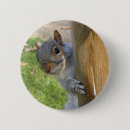 Search for squirrel picture badges Humour