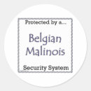 Search for secured stickers Dog