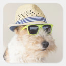Search for fox terrier stickers Puppy