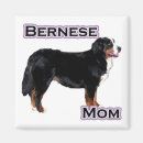 Search for bernese magnets Berner