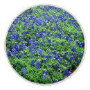 Search for bluebonnet Floral