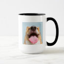 Search for getty Animals