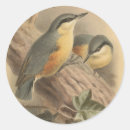 Search for vintage bird illustration stickers Nature
