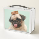 Search for pug lunch boxes Animal