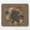 Search for guinea fowl Wildlife