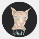 Search for sphinx cat stickers Sphynx