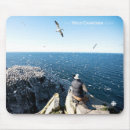 Search for documentary mouse mats Wildlife