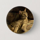 Search for thoughtful badges Nature