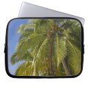 Search for clear laptop cases Ocean