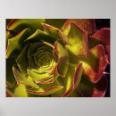 Search for natural environment posters Flower