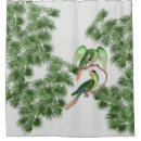 Search for conures home living Wildlife