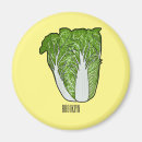Search for cabbage magnets Vegetable