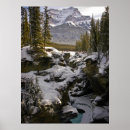 Search for canadian rockies posters Winter