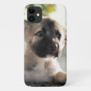 Search for german shepherd puppy iphone cases Animal