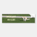 Search for yellow lab bumper stickers Pet