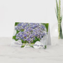 Search for hydrangea shrubs Nature