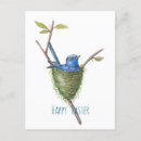 Search for spring bird postcards Adorable