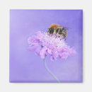 Search for perch magnets Flower