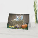 Search for pet halloween cards Cute