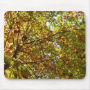 Search for changing mouse mats Fall