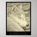 Search for shiba inu posters Illustration